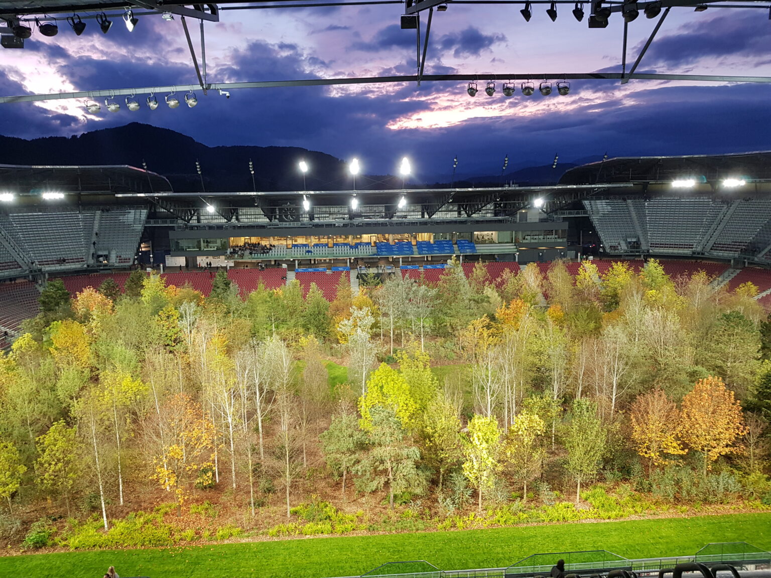 Herbstlicher Mischwald auf dem Rasen des Wörthersee-Stadions in Klagenfurt, abends unter Flutlicht