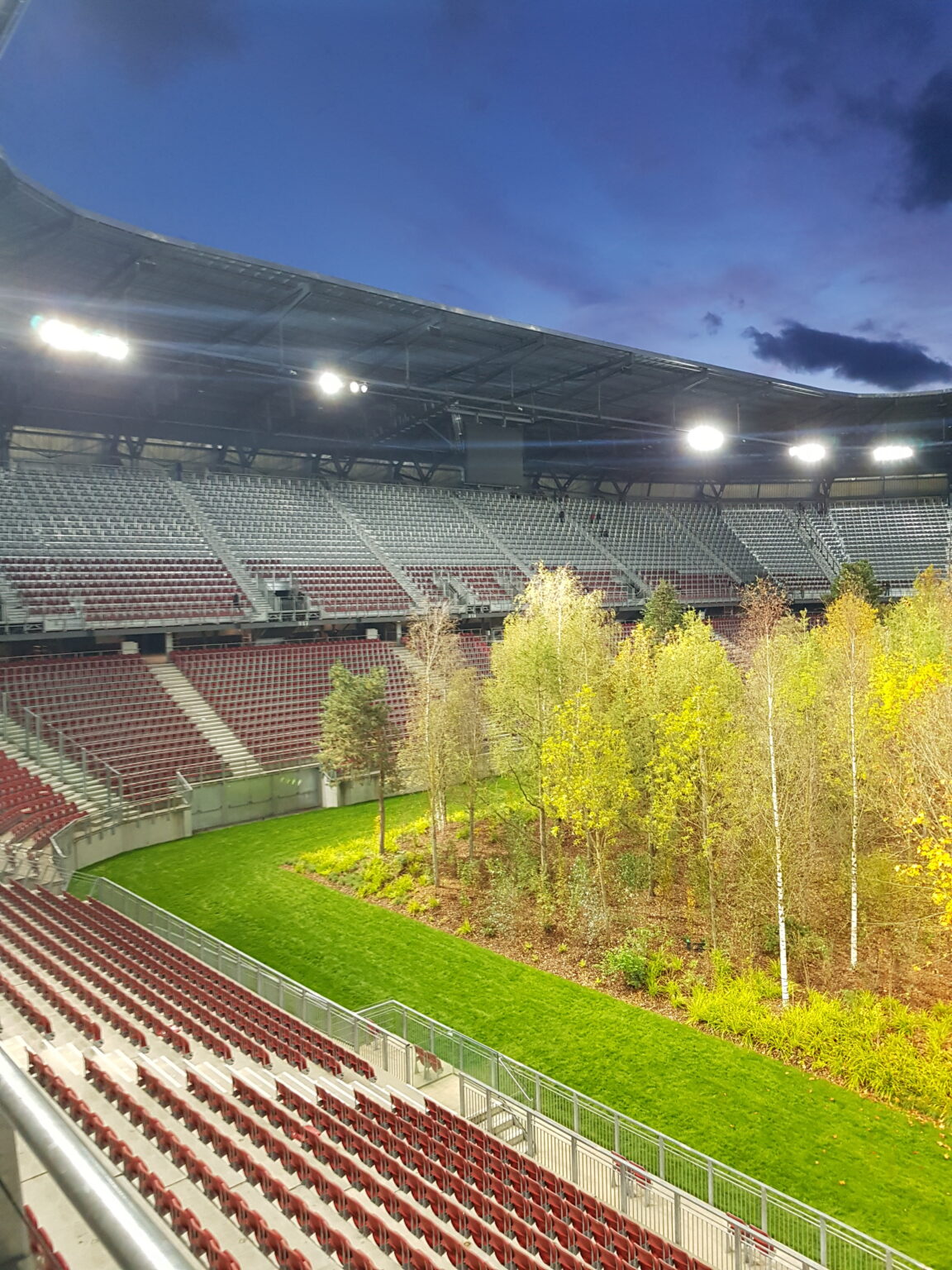 Blick von den Rängen auf den Wald im Wörthersee-Stadion, Herbst 2019
