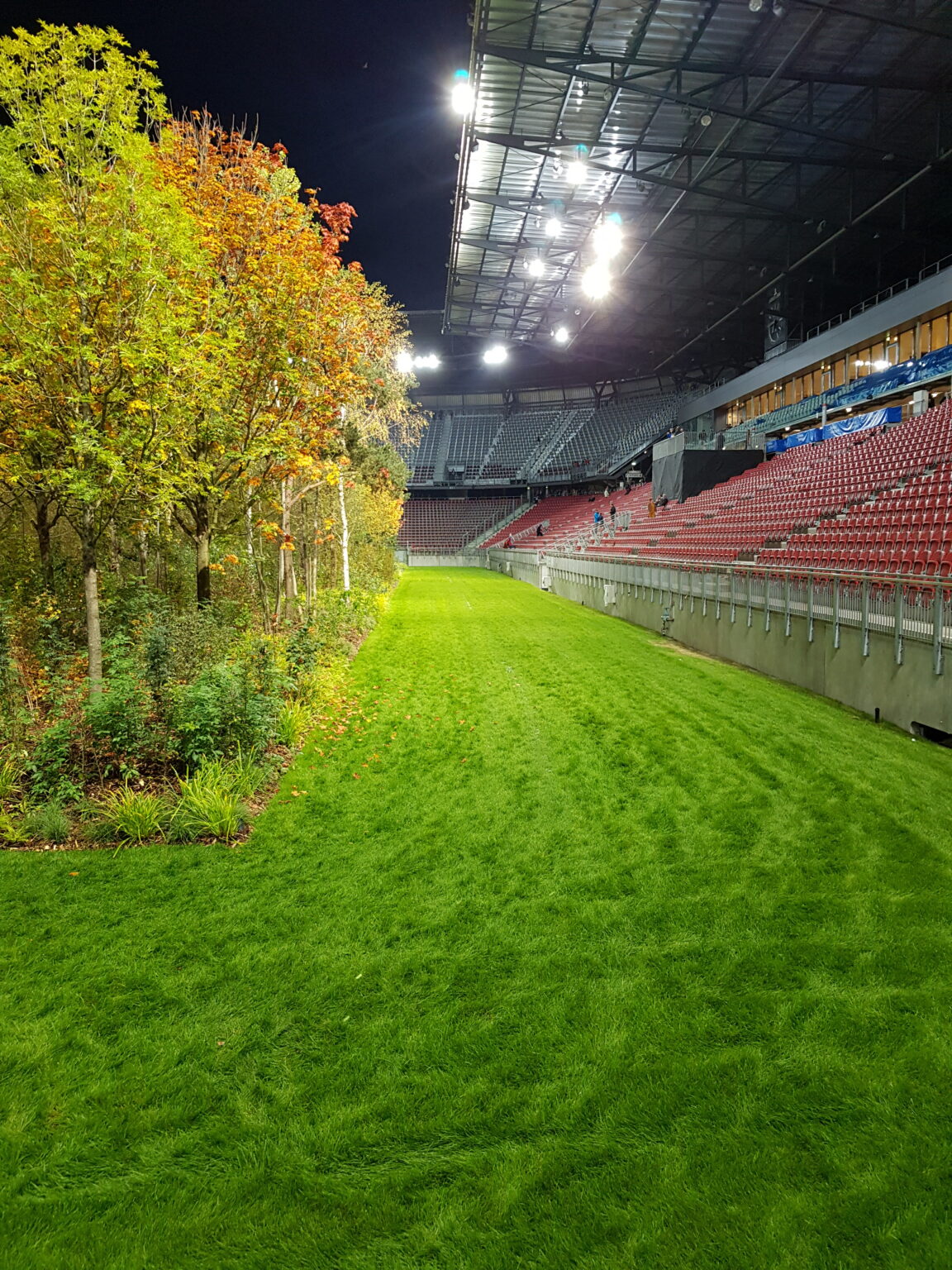 Rasenstreifen am Waldrand im Wörthersee-Stadion unter Flutlicht